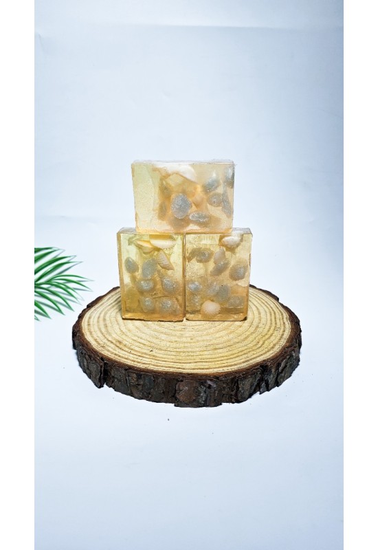 Seashell Face Soap